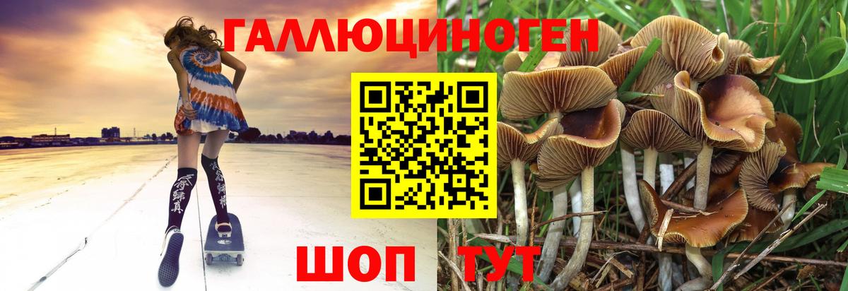 Псилоцибиновые грибы Psilocybe  Вход с VPN  Псилоцибиновые грибы прущие грибы  Люберцы 