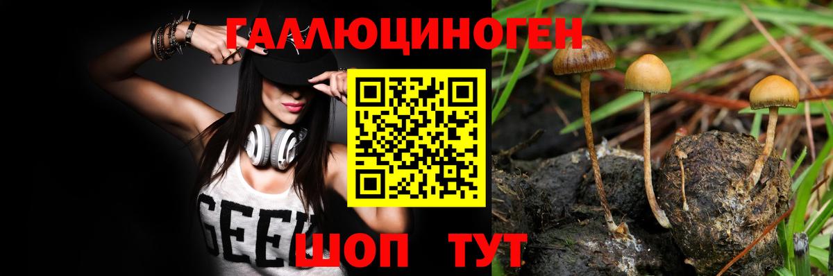 Псилоцибиновые грибы ЛСД Люберцы